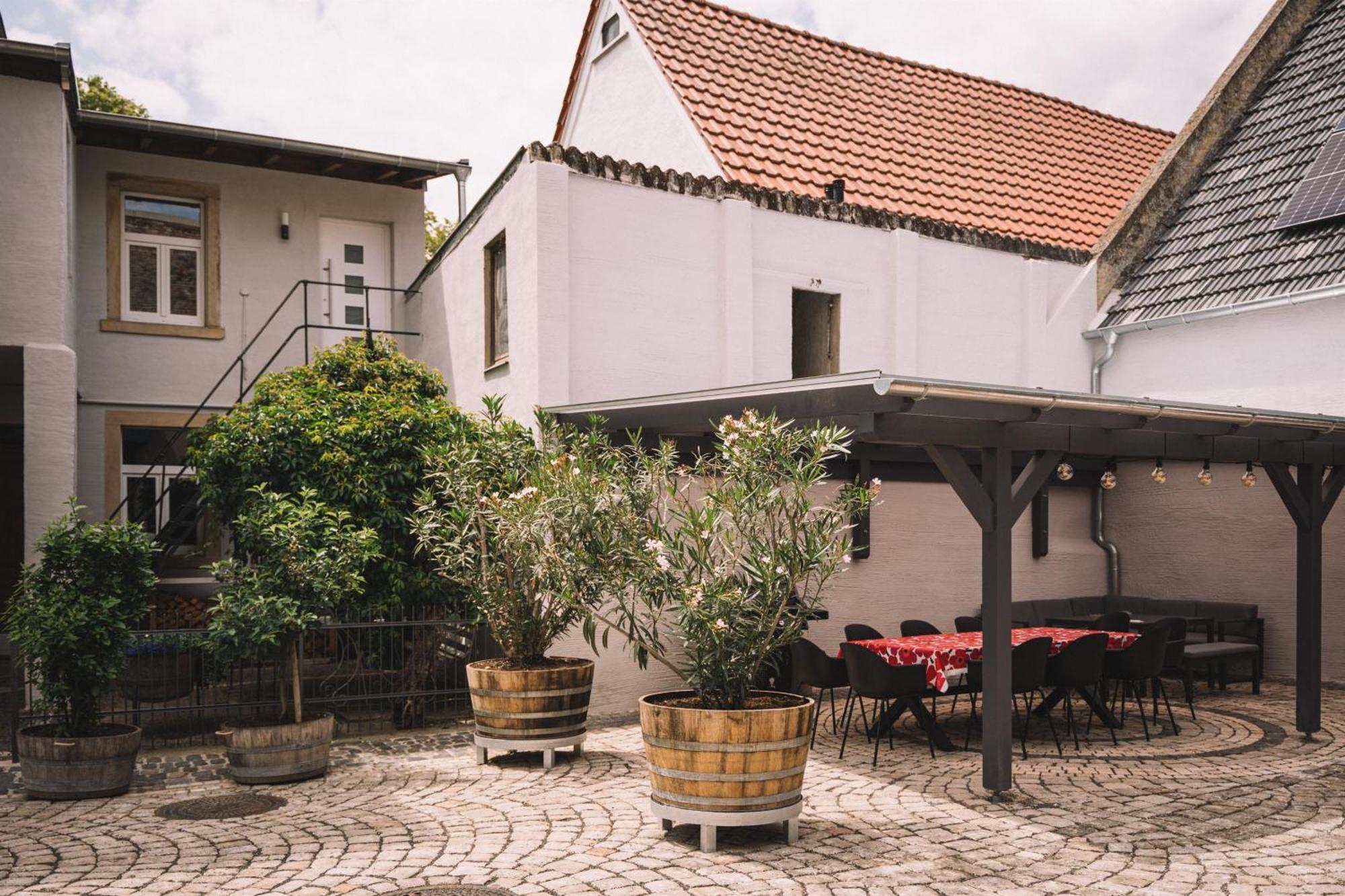 Weingut Petershof Apartment Alzey Ngoại thất bức ảnh