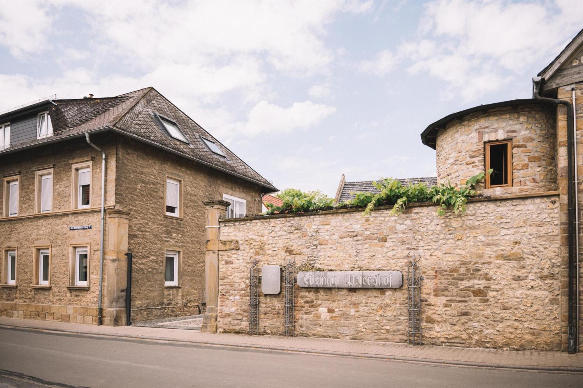 Weingut Petershof Apartment Alzey Ngoại thất bức ảnh